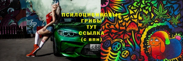 спиды Алзамай