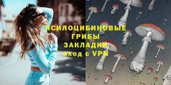 шишки Алексеевка