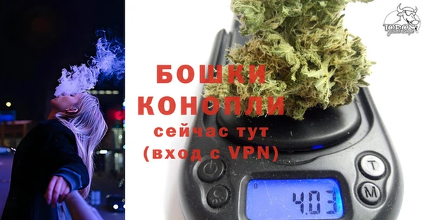 шишки Алексеевка