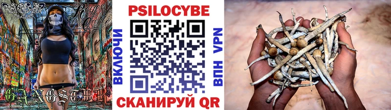 где продают наркотики  Лесной  OMG tor  Псилоцибиновые грибы Cubensis 