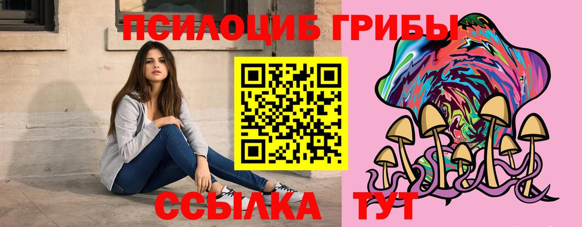 Псилоцибиновые грибы Cubensis  Вход с VPN  Лесной 